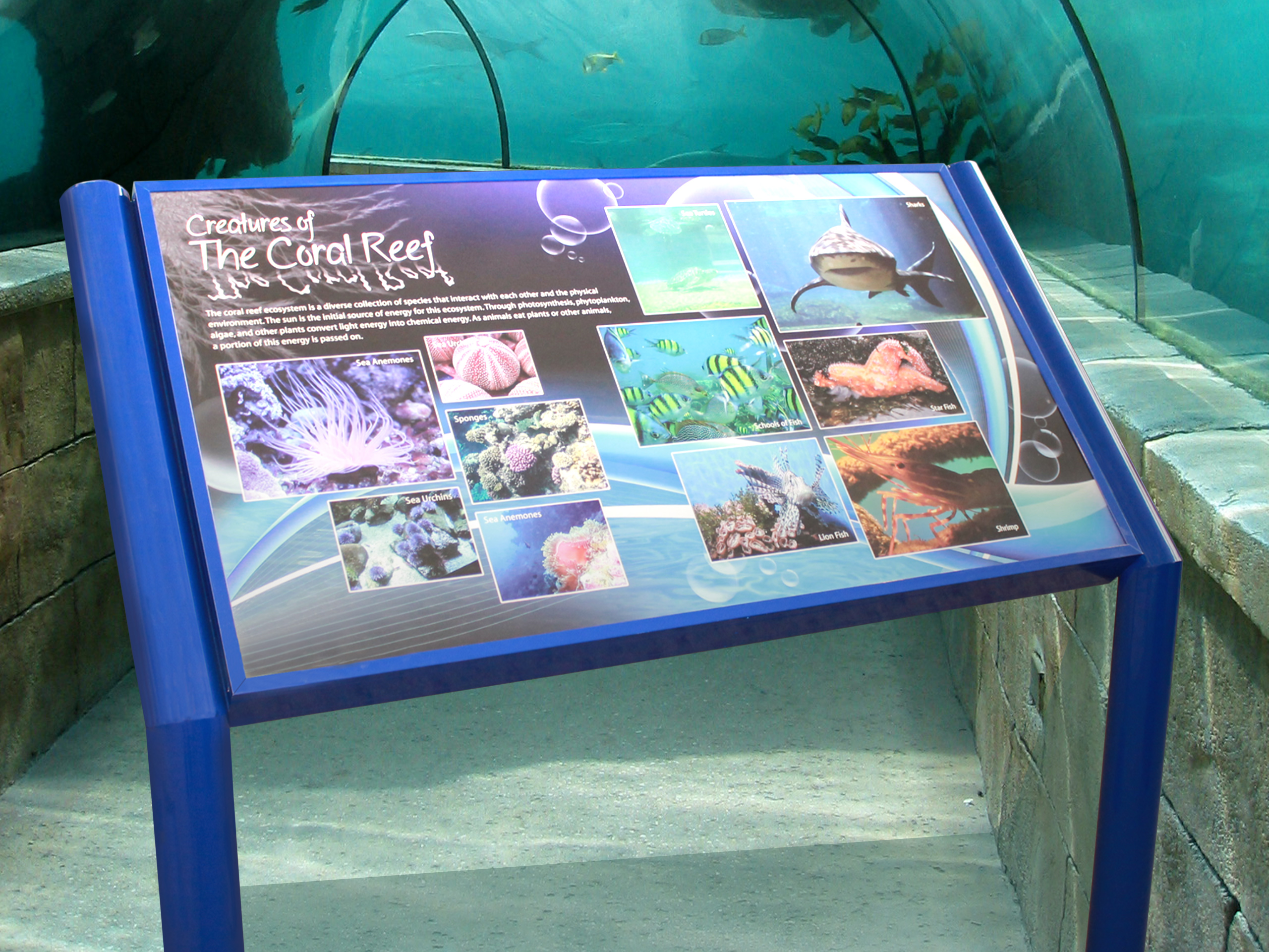 HED 300 Aquarium Resized